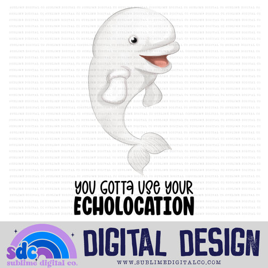 Echolocation • Sea Life • Instant Download • Sublimation Design