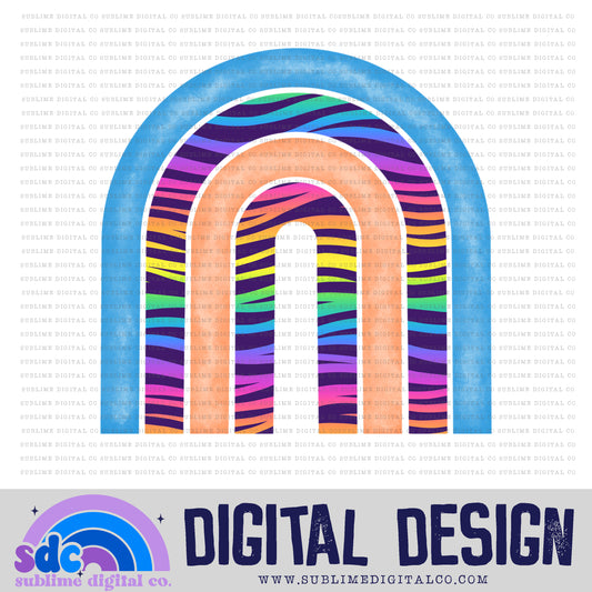 Rainbow Zebra • Rainbow • Elements • Digital Design • Instant Download • Sublimation