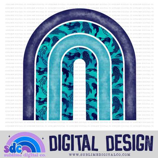 Blue Koi • Rainbow • Elements • Digital Design • Instant Download • Sublimation
